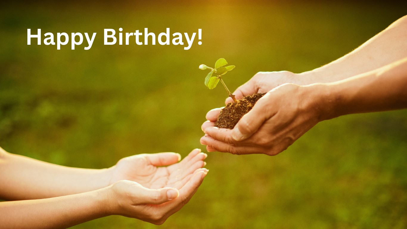 tree planter- Birthday
